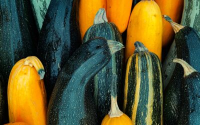 Le Thé à la Courgette : Génie détox ou la pire idée du siècle ?