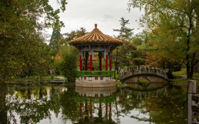 La Chine : Pourquoi c&rsquo;est le « Mothership » du thé